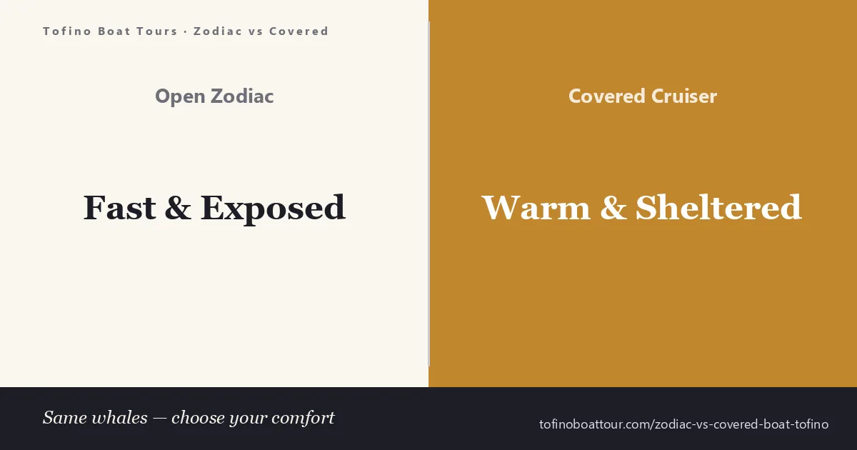 Zodiac vs covered boat in Tofino — an open rigid inflatable compared with a heated covered cabin cruiser for whale watching